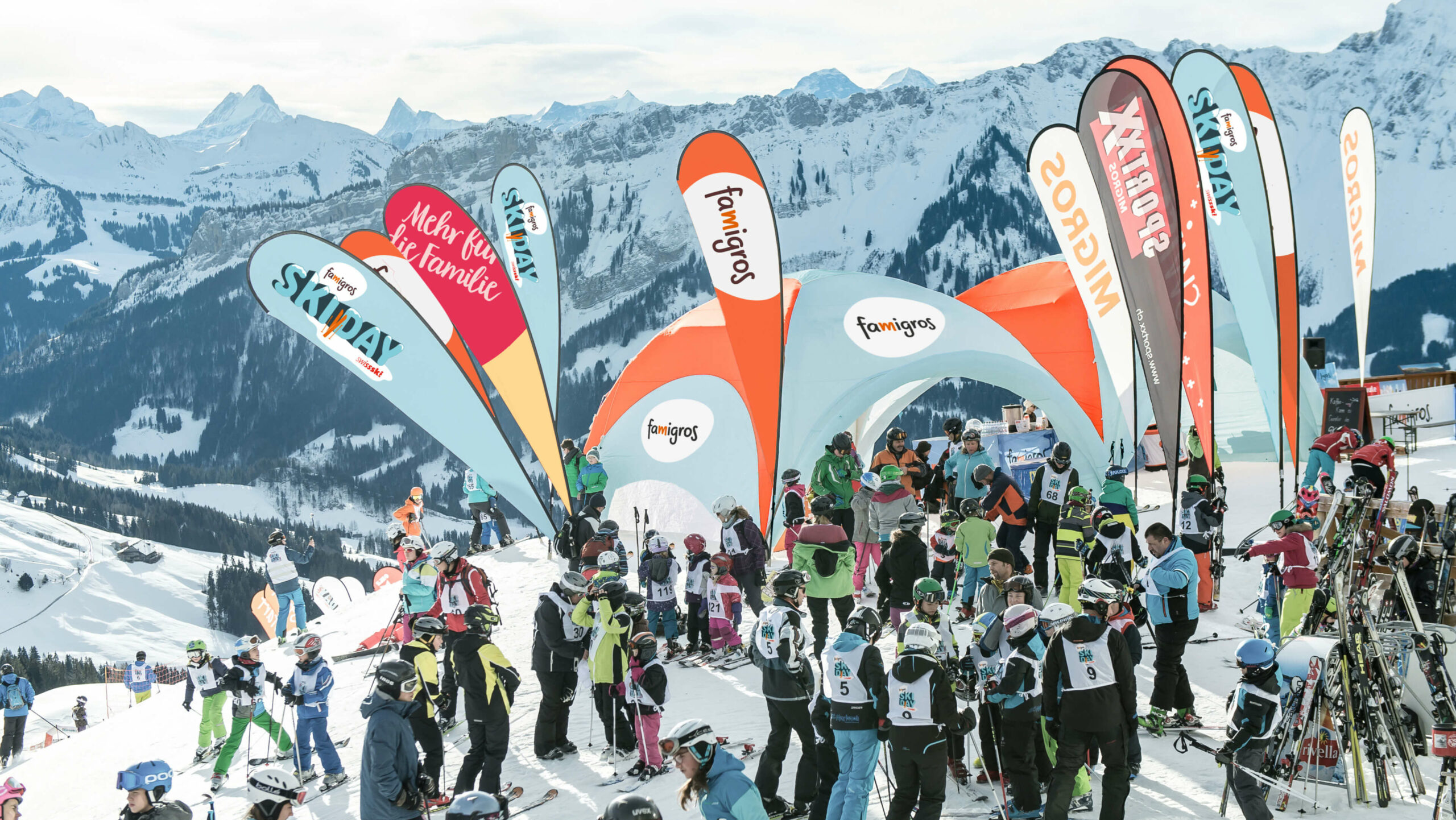 17 Famigros Skidayskiday