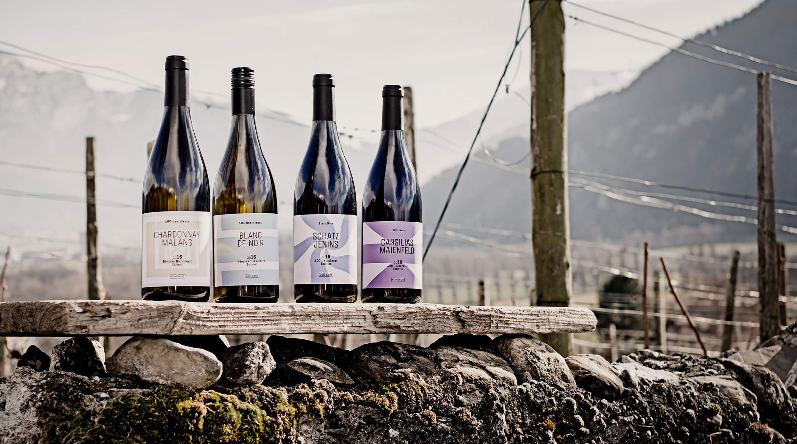 17 Vonsalis Flaschensammlung