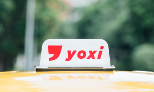 yoxi