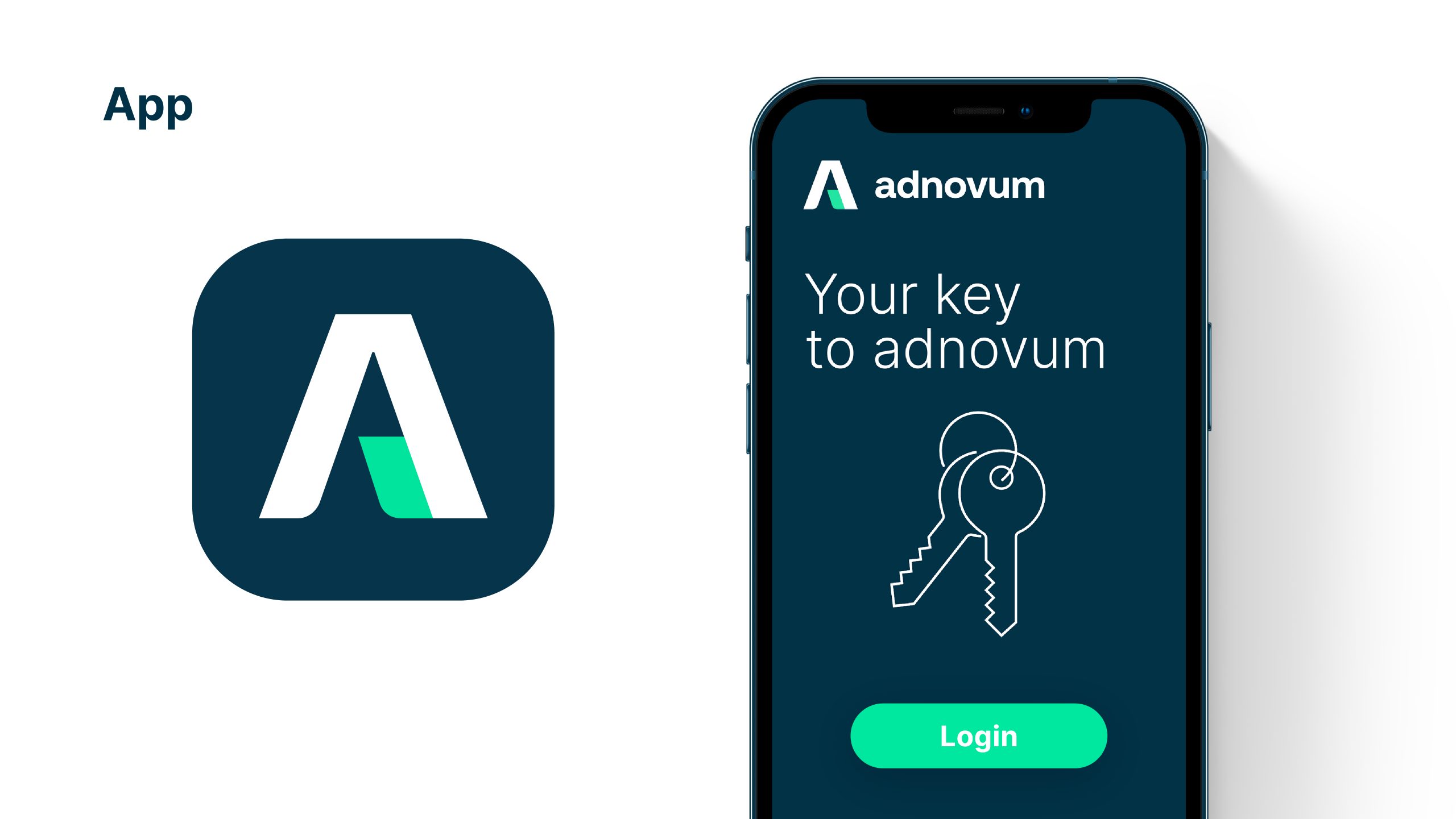 Brandbasic 08 1 Scaled