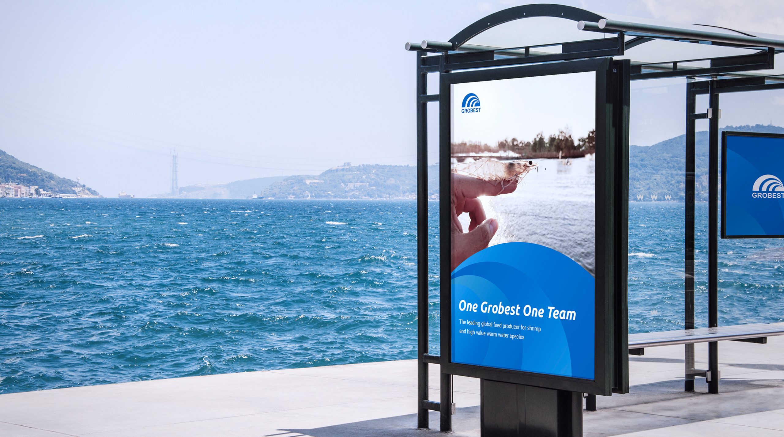 Gb11 Scaled Scaled Scaled